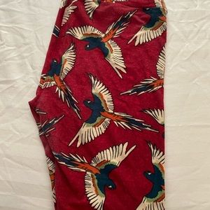 Lularoe leggings!